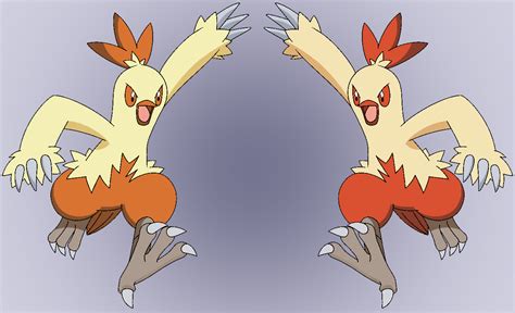shiny combusken.